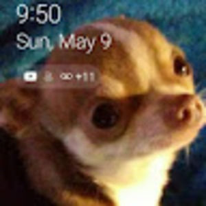 Meet your Posher, Barbara